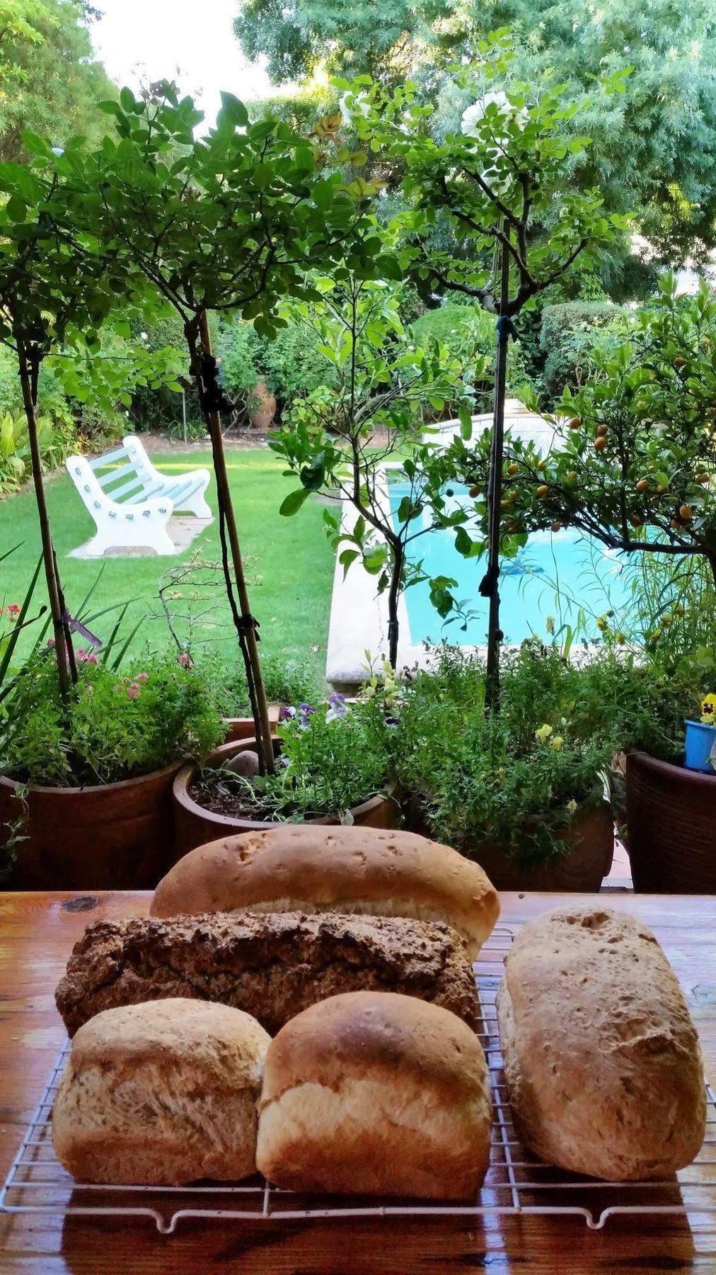 10 Alexander B&B Stellenbosch Zewnętrze zdjęcie