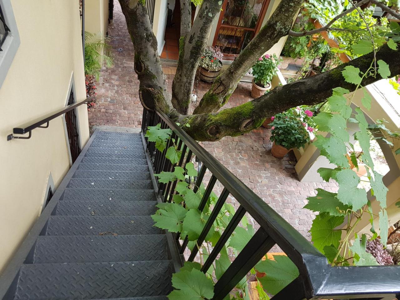 10 Alexander B&B Stellenbosch Zewnętrze zdjęcie