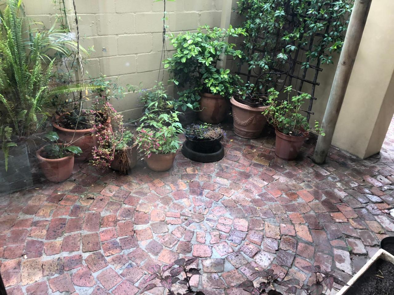 10 Alexander B&B Stellenbosch Zewnętrze zdjęcie
