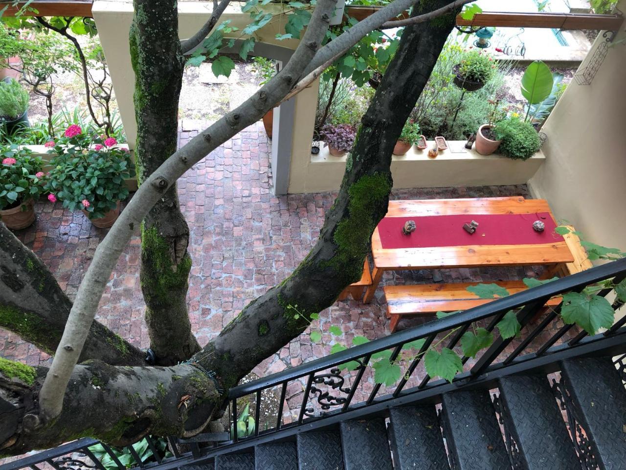 10 Alexander B&B Stellenbosch Zewnętrze zdjęcie